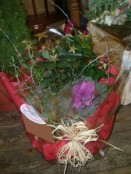 Rose plant basket